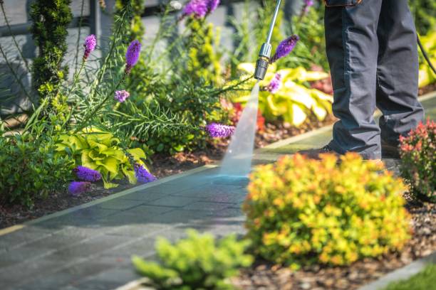 Best Animal Enclosure Cleaning  in Edgewater, FL